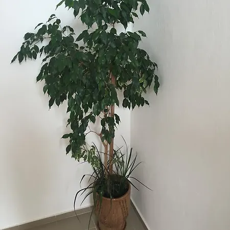 Vendégház Complex Laguna-kantardzhiev Primorszko