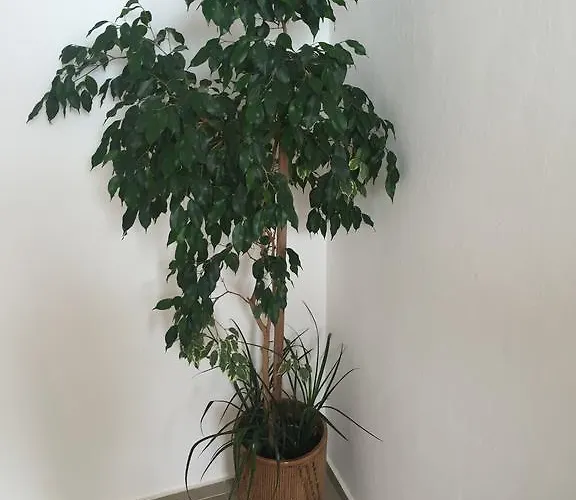 בית הארחה Complex Laguna-kantardzhiev פרימורסקו